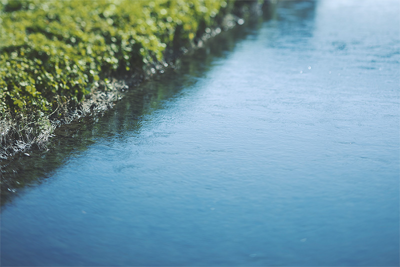 Photo of river landscape