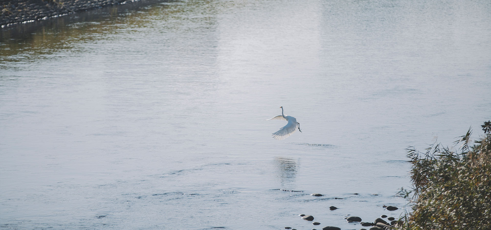 実験作業風景の写真